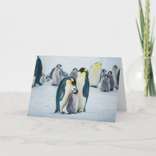 Cutest Baby djur Matat av Baby Penguin Kort