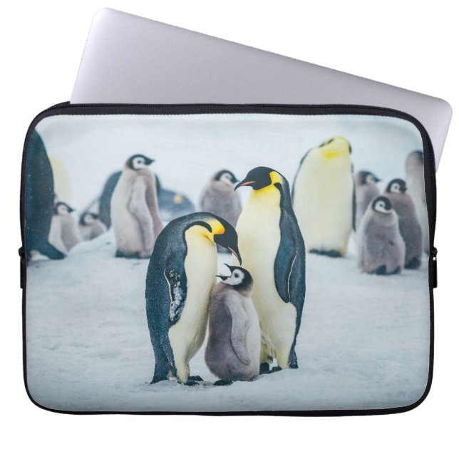 Cutest Baby djur | Matat av Baby Penguin Laptop Fodral (Framsidan)