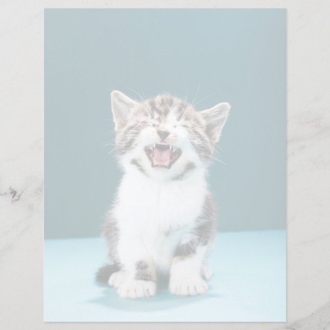 Cutest Baby djur | Meading Baby Kitten (Framsida)