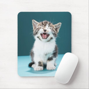 Cutest Baby djur Meading Baby Kitten Musmatta