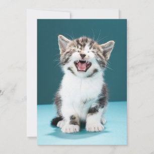 Cutest Baby djur Meading Baby Kitten Tack Kort
