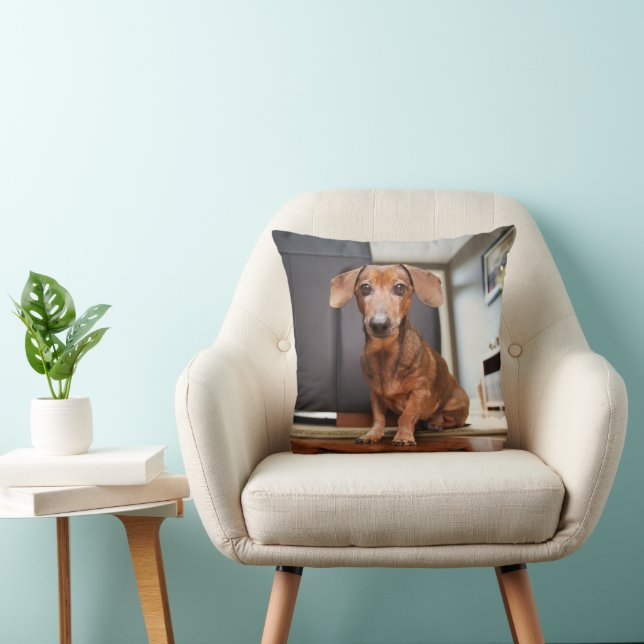 Cutest Baby djur | Mini Dachshund Puppy Kudde (Stol)
