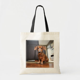 Cutest Baby djur Mini Dachshund Puppy Tygkasse