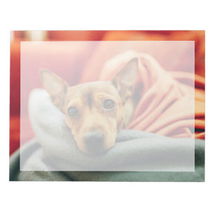 Cutest Baby djur Miniature Pinscher Anteckningsblock