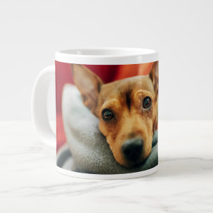 Cutest Baby djur Miniature Pinscher Jumbo Mugg