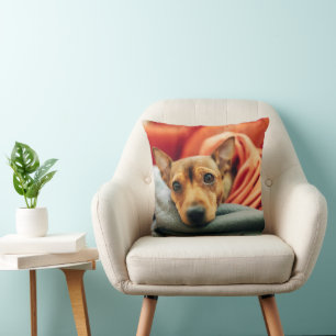 Cutest Baby djur Miniature Pinscher Kudde