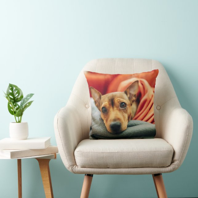Cutest Baby djur | Miniature Pinscher Kudde (Stol)