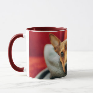 Cutest Baby djur Miniature Pinscher Mugg