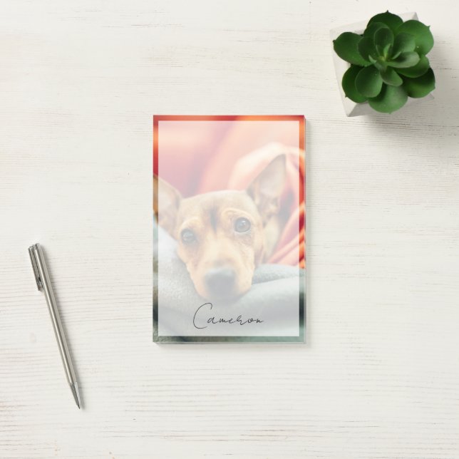 Cutest Baby djur | Miniature Pinscher Post-it Block (Kontor)