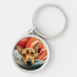 Cutest Baby djur Miniature Pinscher Rund Silverfärgad Nyckelring