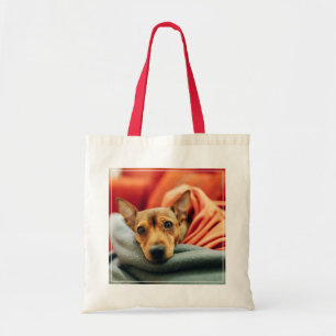 Cutest Baby djur   Miniature Pinscher Tygkasse