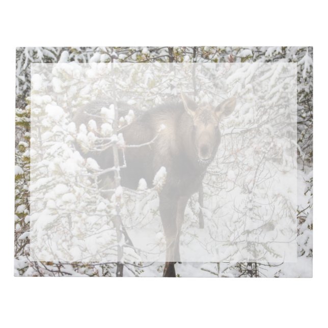 Cutest Baby djur | Moose Calf Anteckningsblock (Framsida)