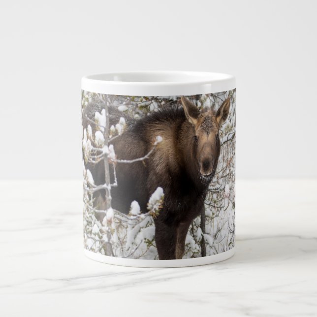 Cutest Baby djur | Moose Calf Jumbo Mugg (Framsidan)