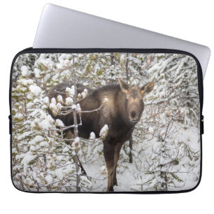 Cutest Baby djur Moose Calf Laptop Fodral