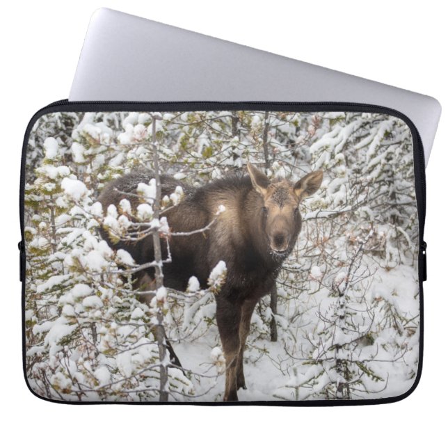 Cutest Baby djur | Moose Calf Laptop Fodral (Framsidan)