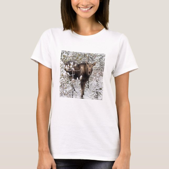 Cutest Baby djur | Moose Calf T Shirt (Framsida)