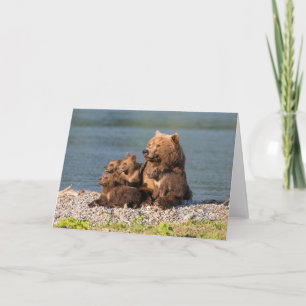 Cutest Baby djur Mor Björn och Unge Kort