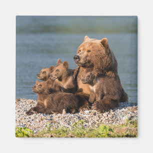 Cutest Baby djur Mor Björn och Unge Magnet