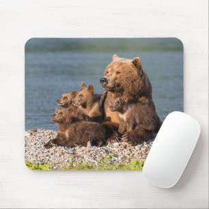 Cutest Baby djur Mor Björn och Unge Musmatta