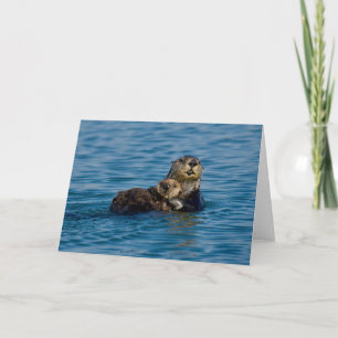 Cutest Baby djur Mor och Baby Otter Kort