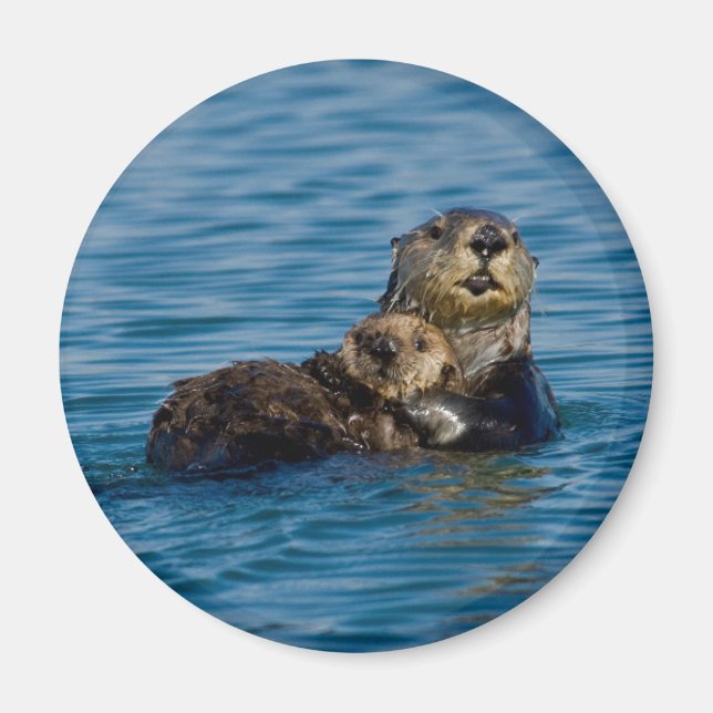 Cutest Baby djur | Mor och Baby Otter Magnet (Framsidan)