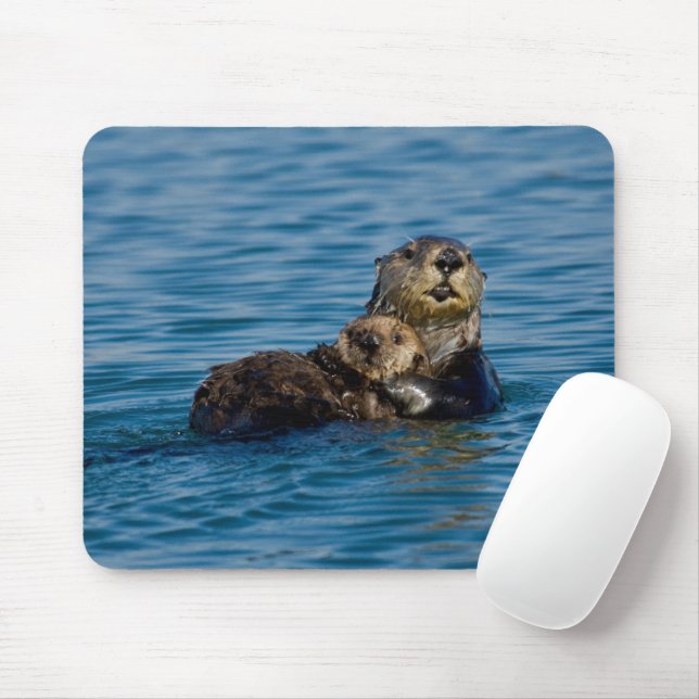 Cutest Baby djur | Mor och Baby Otter Musmatta (Med mus)