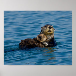 Cutest Baby djur Mor och Baby Otter Poster
