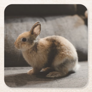 Cutest Baby djur Nederländerna Dwarf Rabbit Underlägg Papper Kvadrat