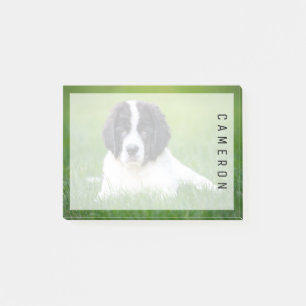 Cutest Baby djur   Newfoundland Puppy Post-it Block