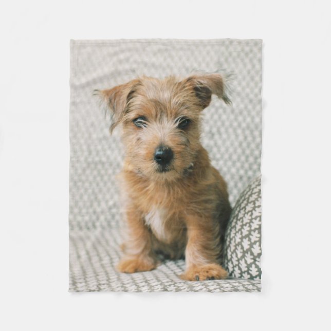 Cutest Baby djur | Norfolk Terrier Puppy Fleecefilt (Framsidan)