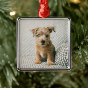 Cutest Baby djur   Norfolk Terrier Puppy Julgransprydnad Metall