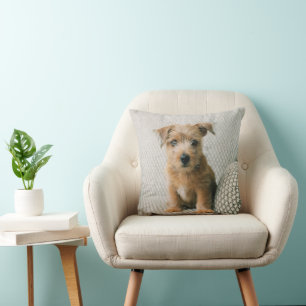 Cutest Baby djur   Norfolk Terrier Puppy Kudde