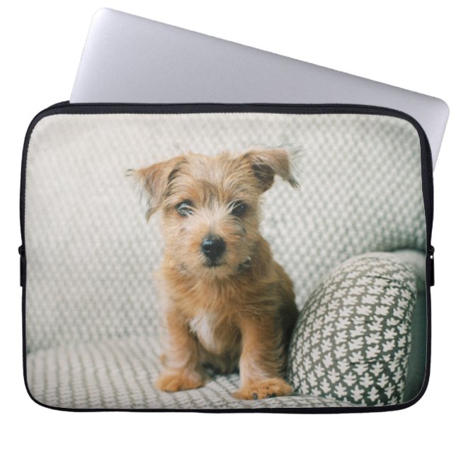 Cutest Baby djur | Norfolk Terrier Puppy Laptop Fodral (Framsidan)