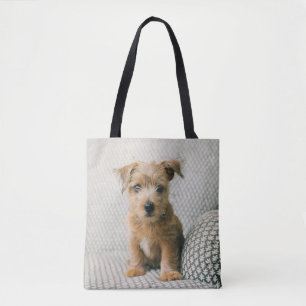Cutest Baby djur Norfolk Terrier Puppy Tygkasse