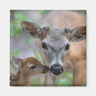 Cutest Baby djur Nyckel Hjort Stag & Fawn Magnet