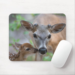 Cutest Baby djur Nyckel Hjort Stag & Fawn Musmatta