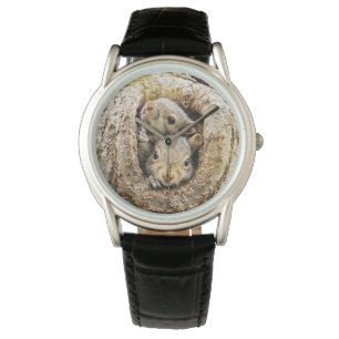 Cutest Baby djur   Nyfikna Baby-ekorrar Armbandsur