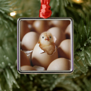 Cutest Baby djur NYFÖDD BEBIS CHICK Julgransprydnad Metall