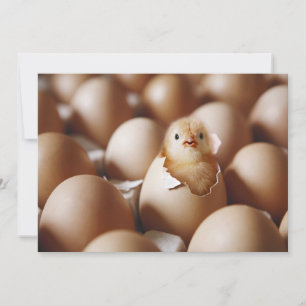 Cutest Baby djur NYFÖDD BEBIS CHICK Tack Kort