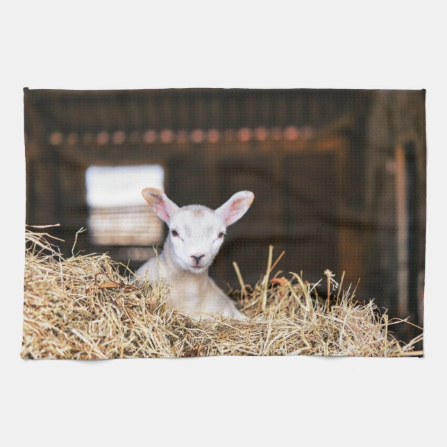 Cutest Baby djur | Nyfödd Lamb Kökshandduk (Horisontell)
