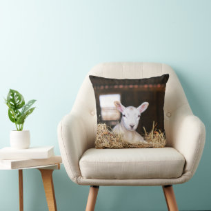 Cutest Baby djur   Nyfödd Lamb Kudde