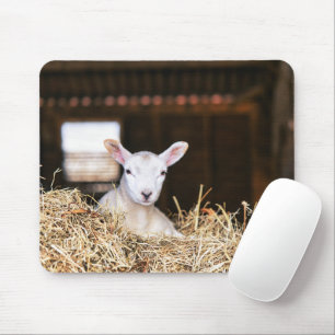 Cutest Baby djur Nyfödd Lamb Musmatta