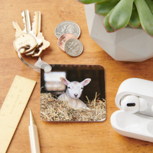 Cutest Baby djur Nyfödd Lamb Nyckelring