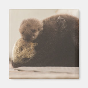 Cutest Baby djur Nyfödd yttre Valp Magnet