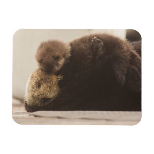 Cutest Baby djur Nyfödd yttre Valp Magnet