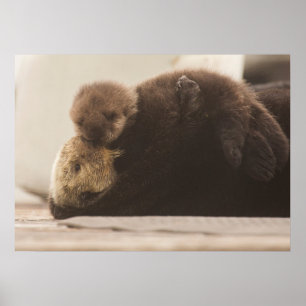 Cutest Baby djur Nyfödd yttre Valp Poster