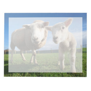 Cutest Baby djur Nyfödda Lamb & Mamma Anteckningsblock