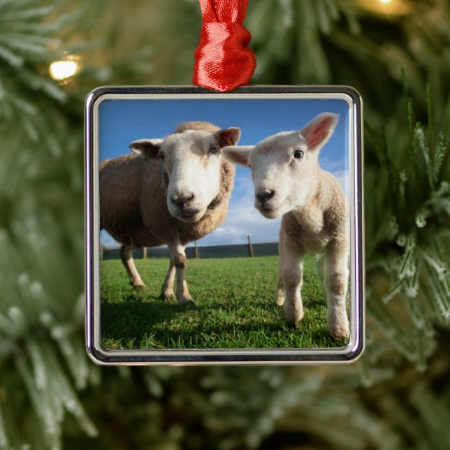 Cutest Baby djur | Nyfödda Lamb & Mamma Julgransprydnad Metall (Träd)