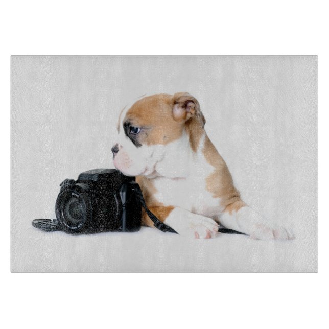 Cutest Baby djur | Old Tyme British Bulldog (Framsidan)