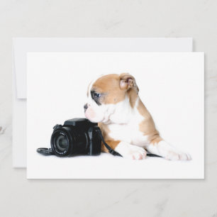 Cutest Baby djur Old Tyme British Bulldog Tack Kort